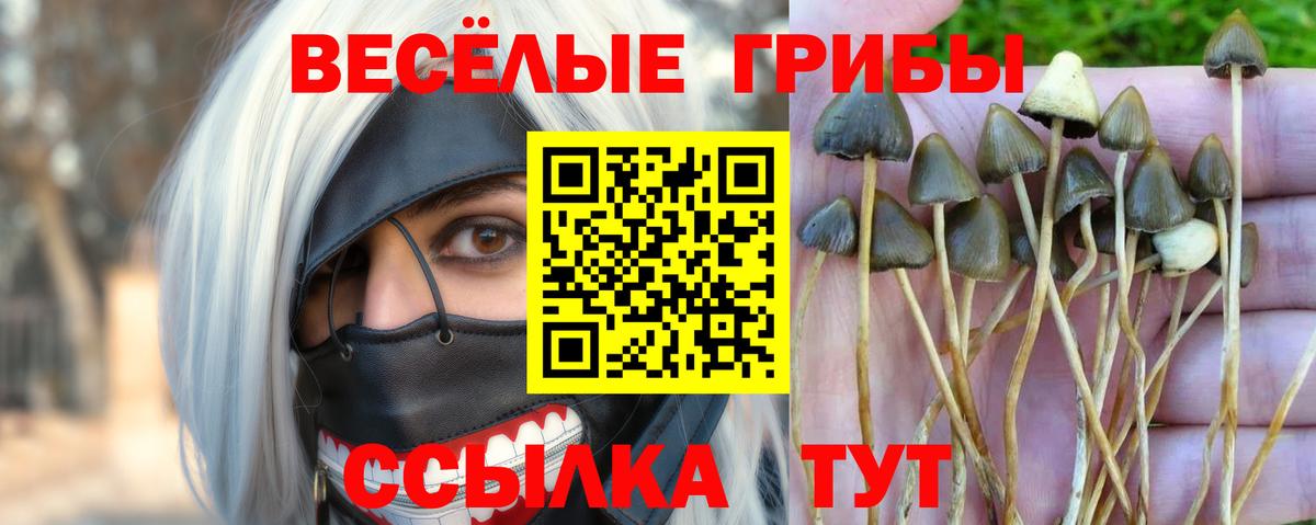 Галлюциногенные грибы прущие грибы  Вход с VPN  Астрахань 